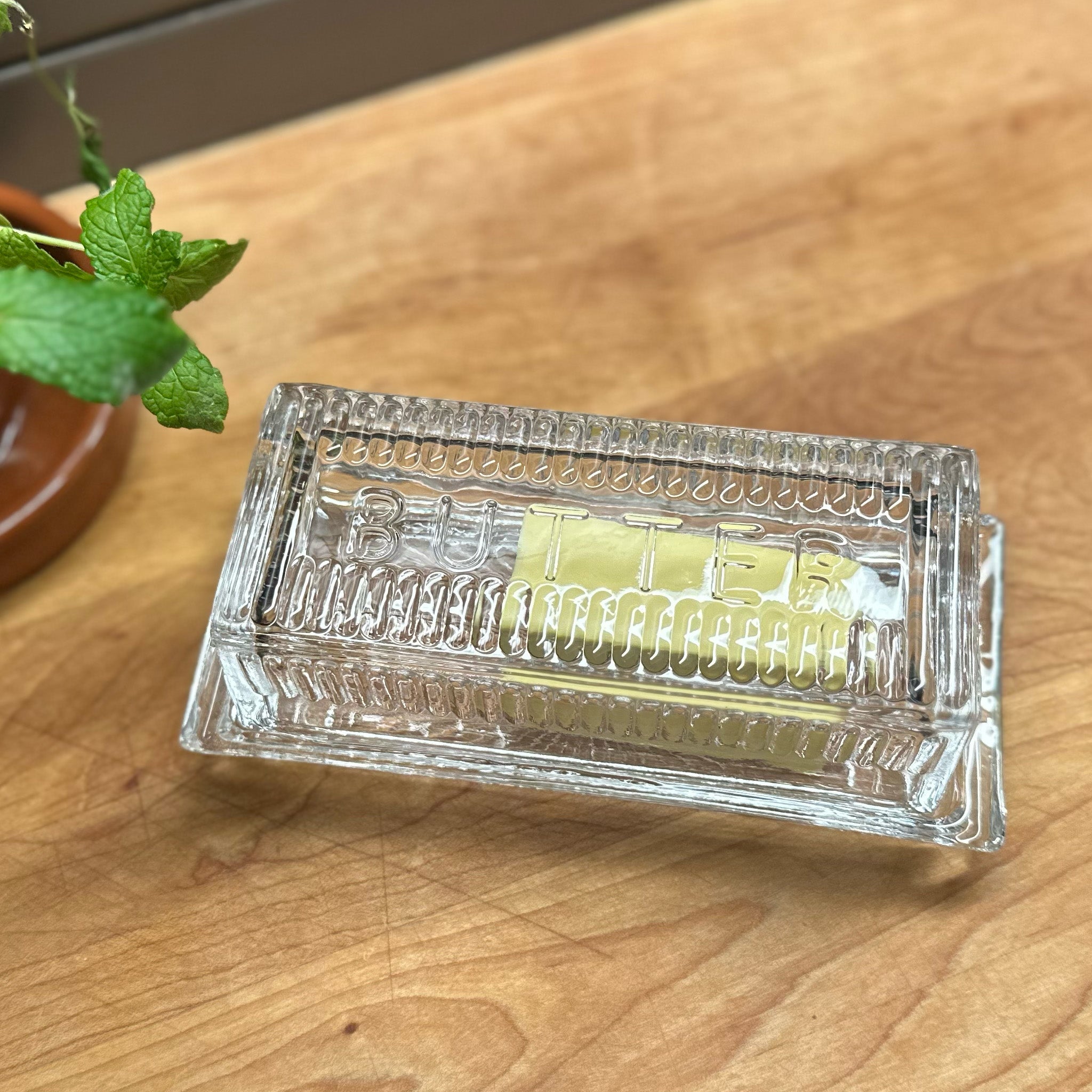 image of Earth + Nest's butter dish closed half filled with butter stick