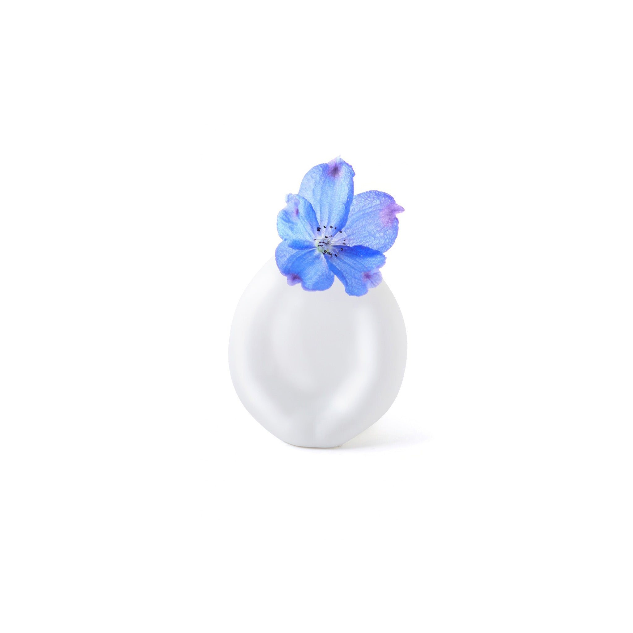 White vase with a blue flower on a white background
