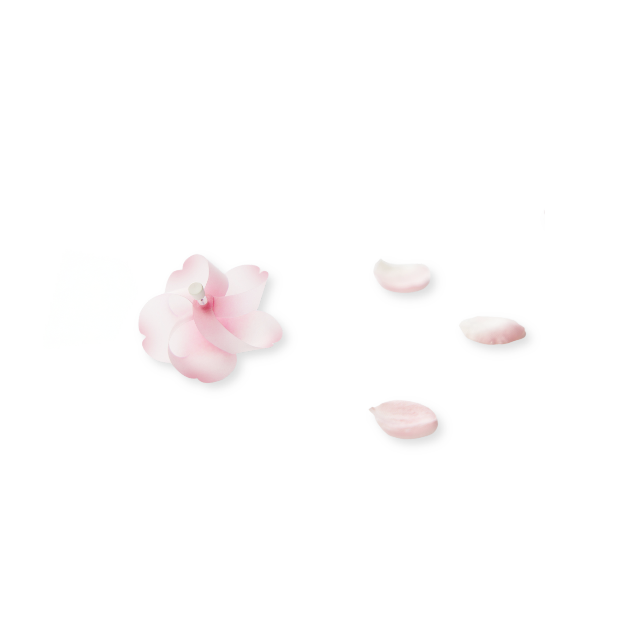 Aesthetic image of one cherry blossom magnetic pinwheel - Kaze Guru Ma on a white background with its petals