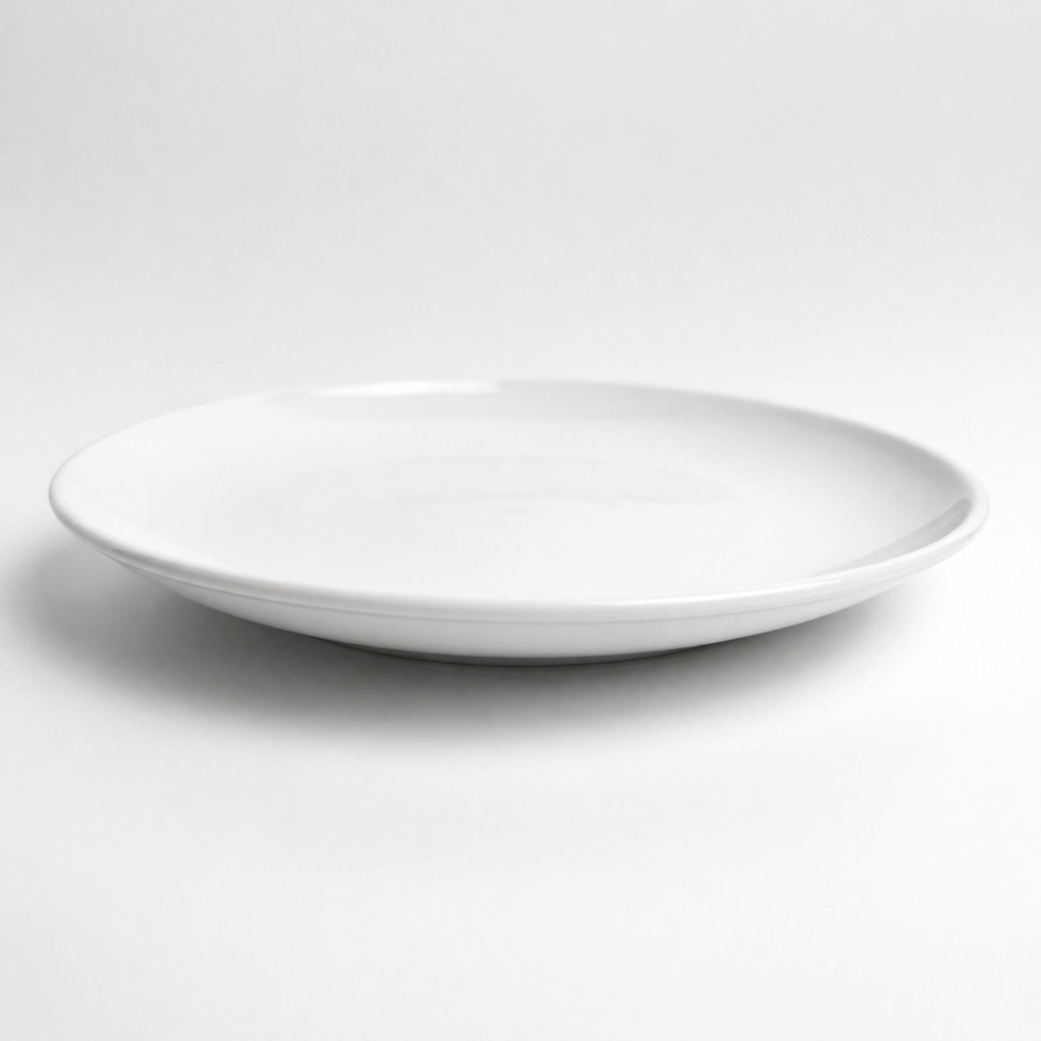Common 10.5" Plate