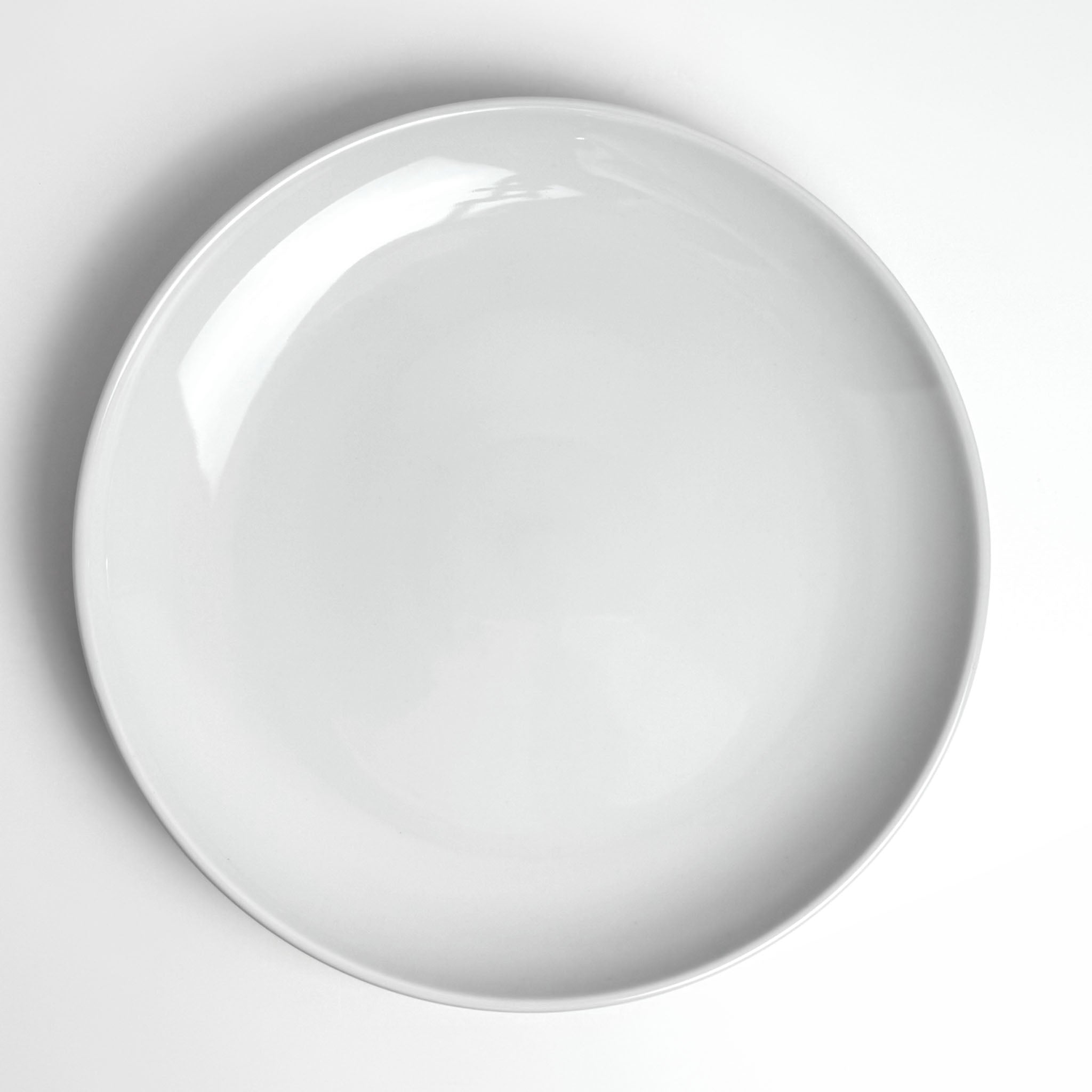 Common 10.5" Plate