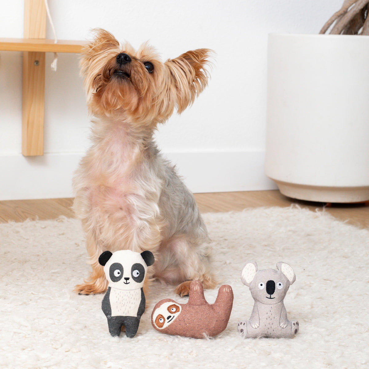Cuddle Buddies Earth-Friendly Dog Toy Set – 3 Piece