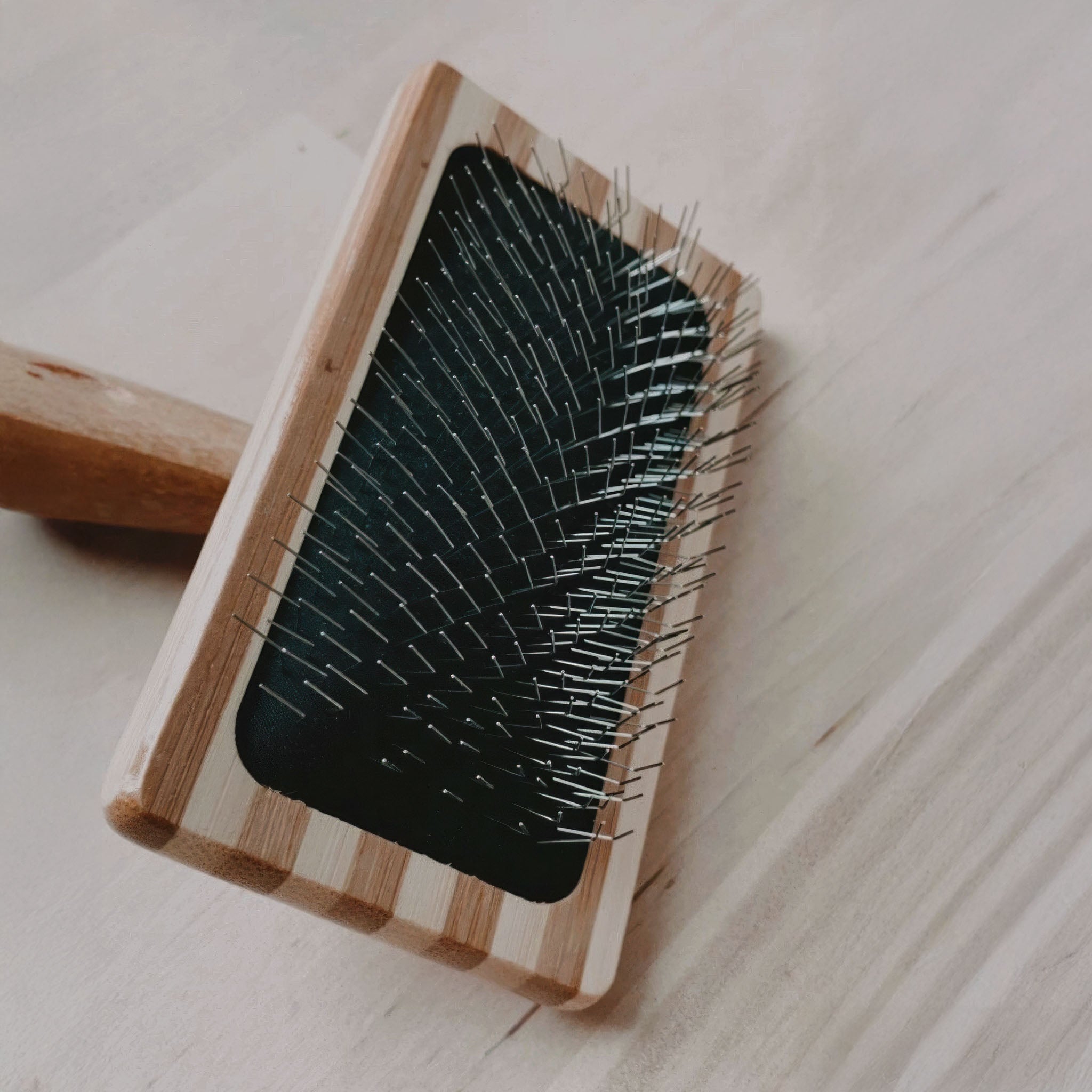 Cat hair brush with bristles on a light wooden surface