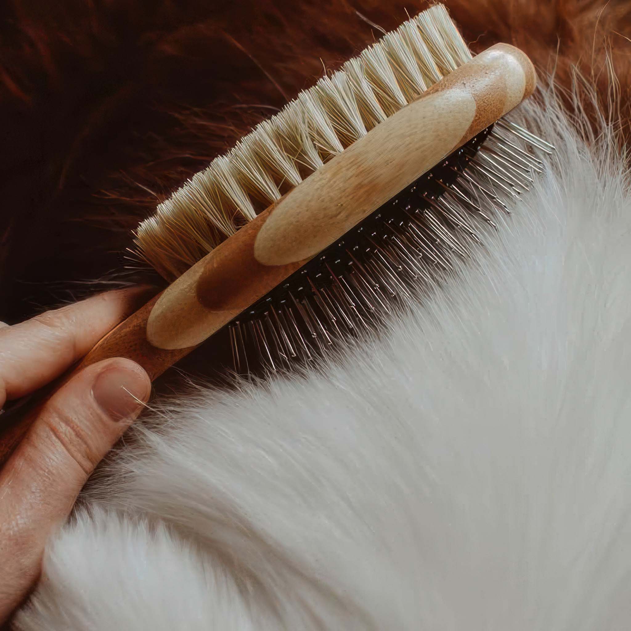 Person using a wooden dog brush on a fluffy doggy.