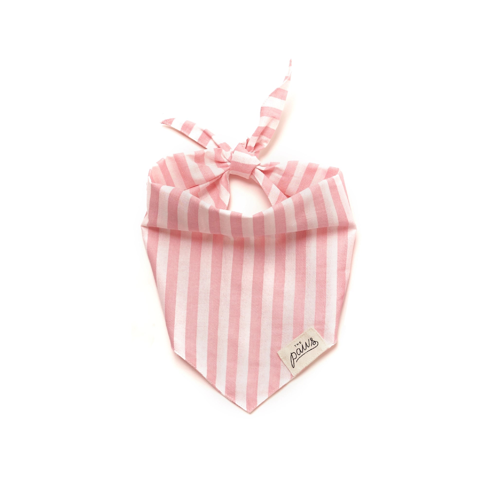 Image of The Paws Cabana Pink bandana on a white background.