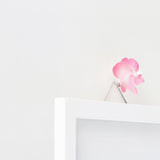 Kaze guru ma Magnetic Pinwheel