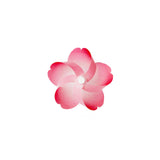 Kaze guru ma Magnetic Pinwheel