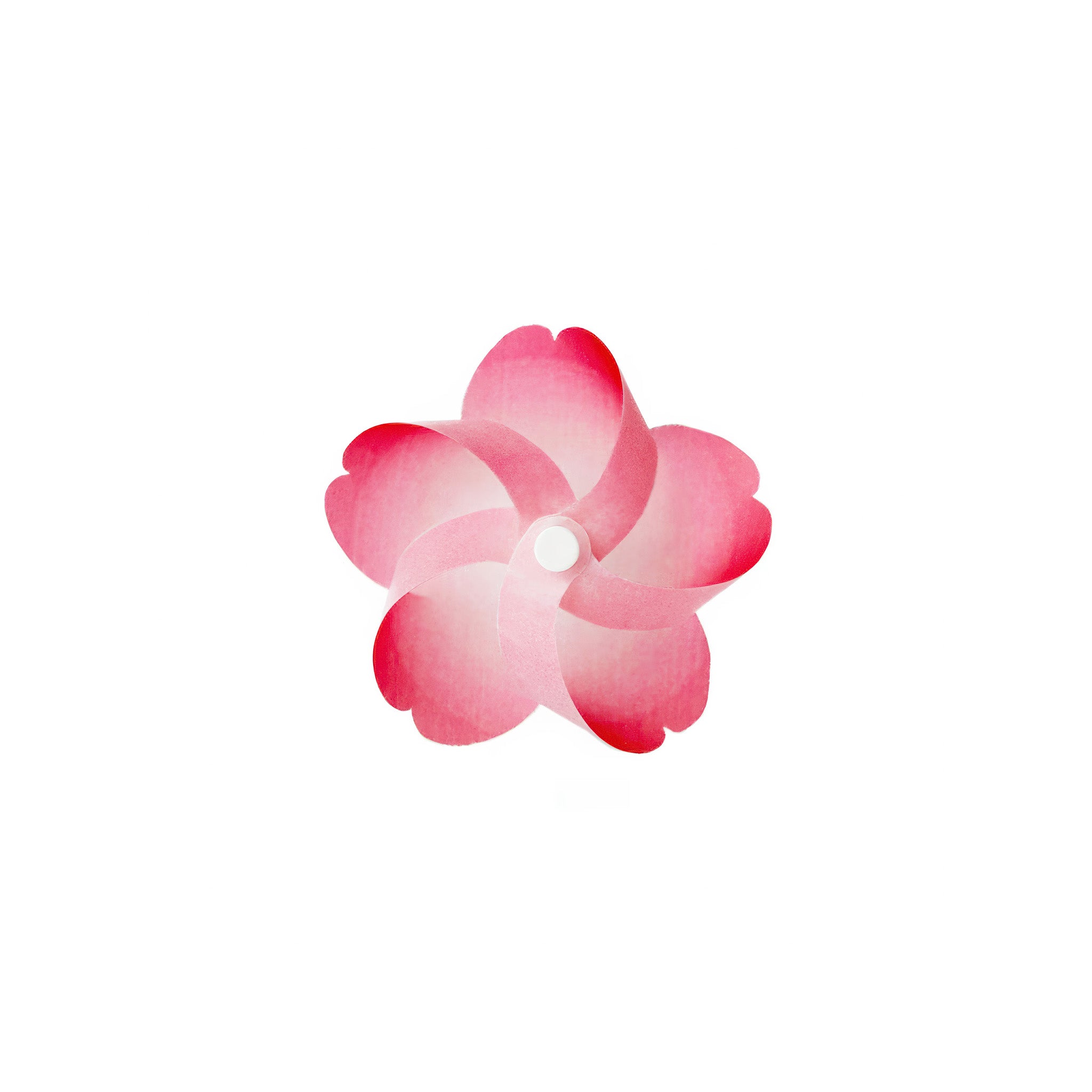 Pink cherry flower-shaped pinwheel object on a white background