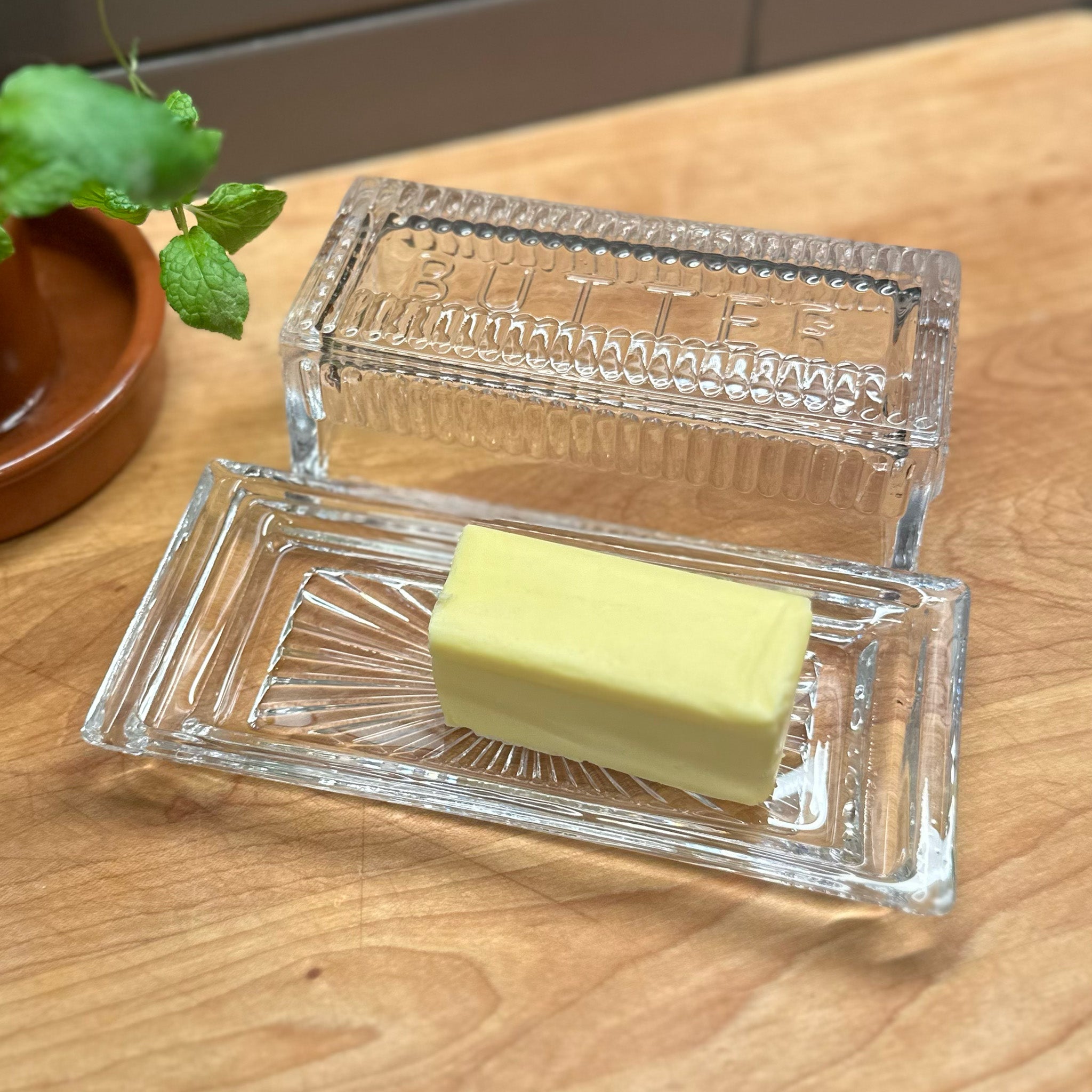 image of home eat drink earth nest butter dish open half filled with butter stick