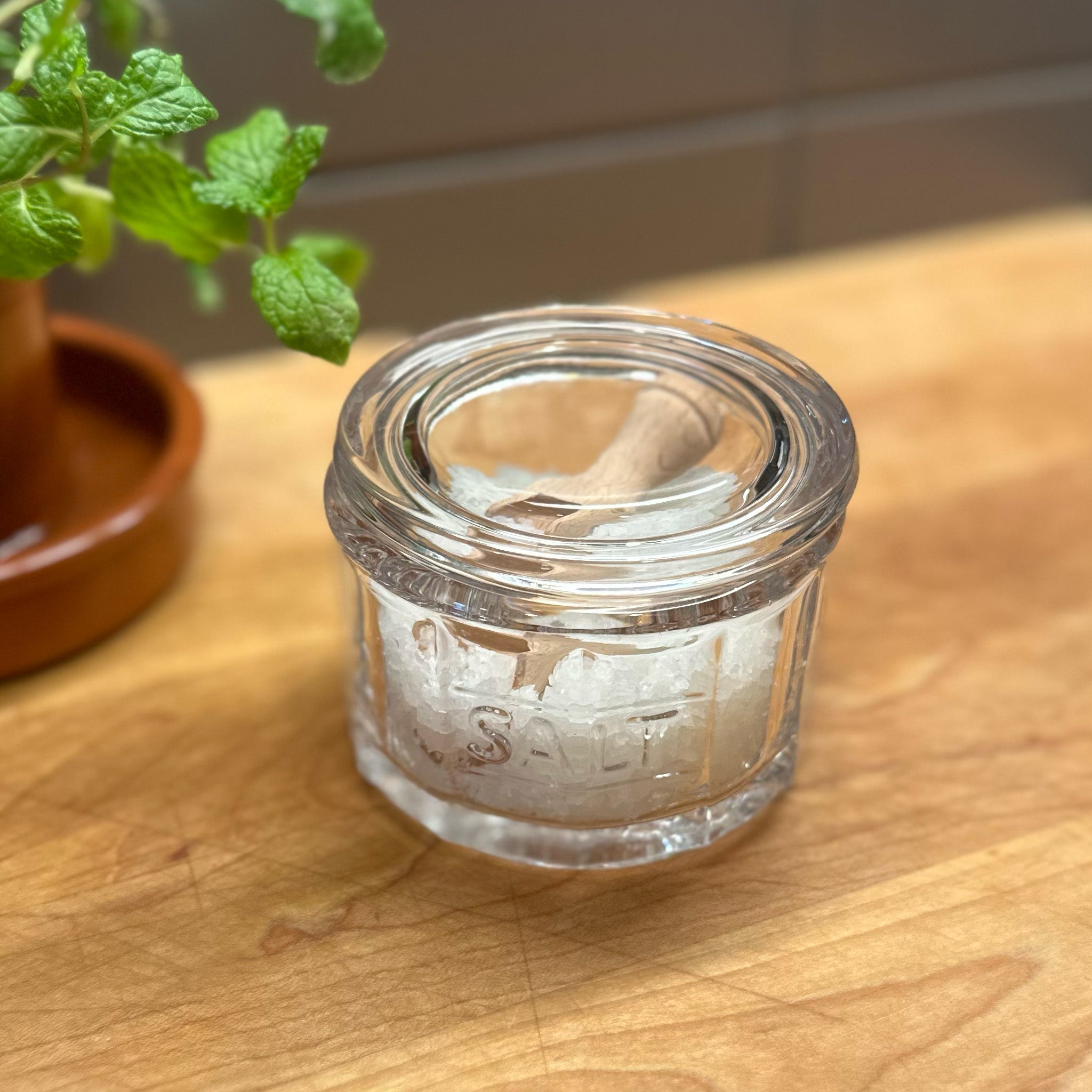 image of home eat drink earth nest salt dish closed with wooden scoop and filled with salt