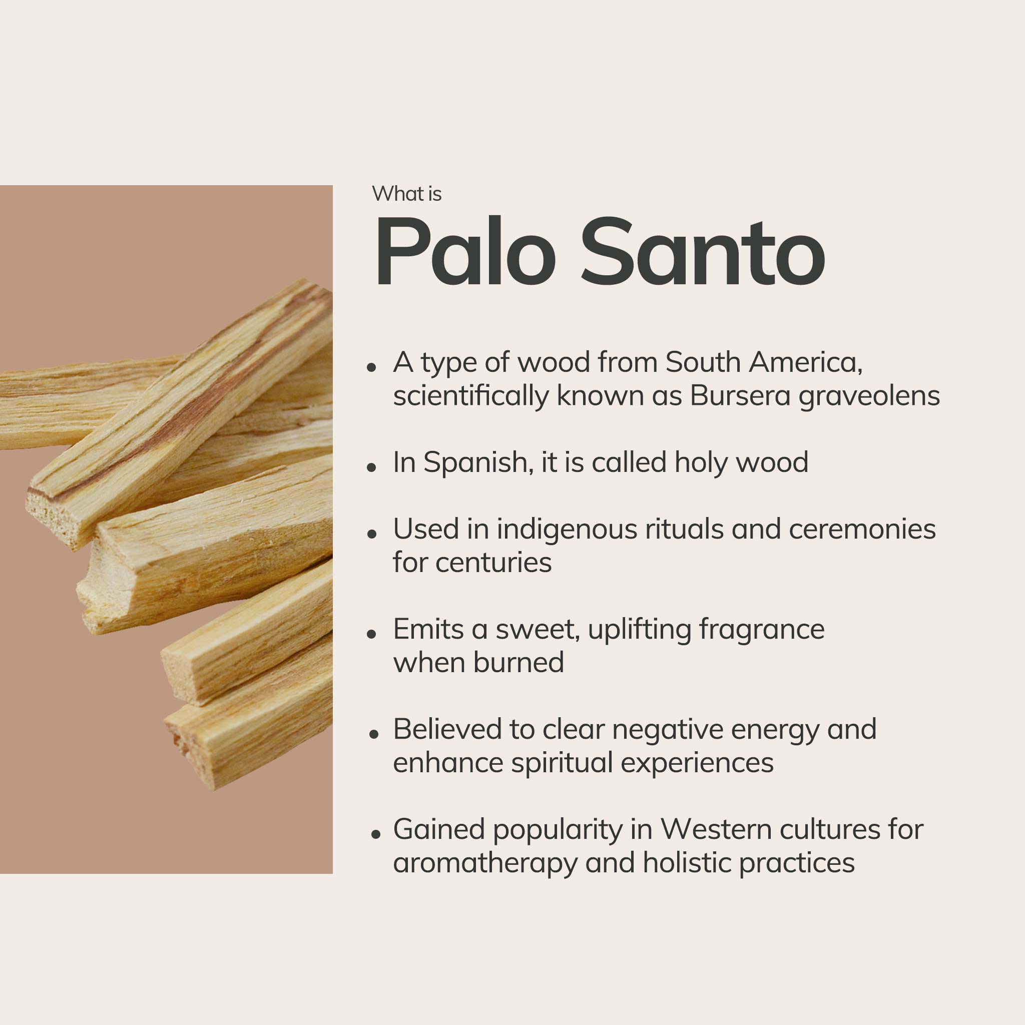 Palo Santo sticks on a beige background with text about Palo Santo.