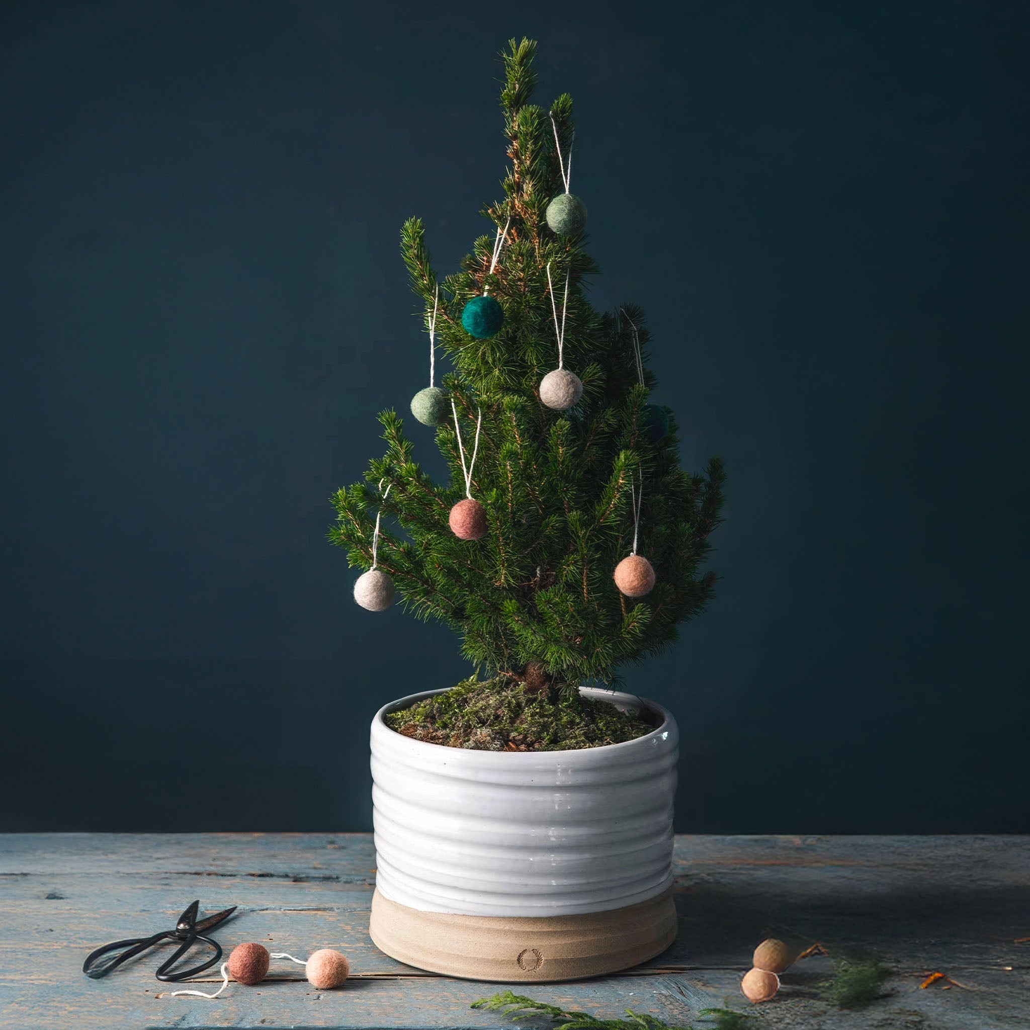 Potted Christmas tree with decorative ornaments on a dark background