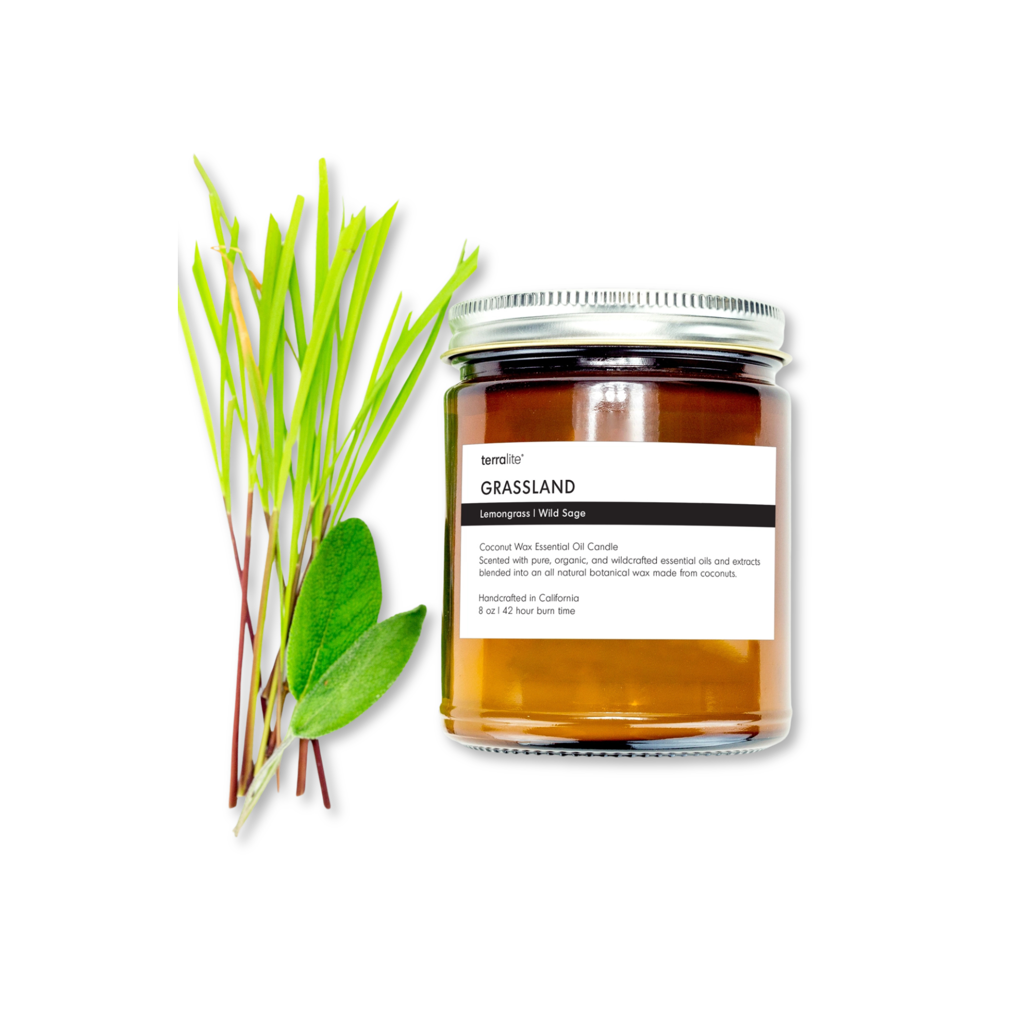 Terralite jar of 'Grassland' candle with green leaves on a white background