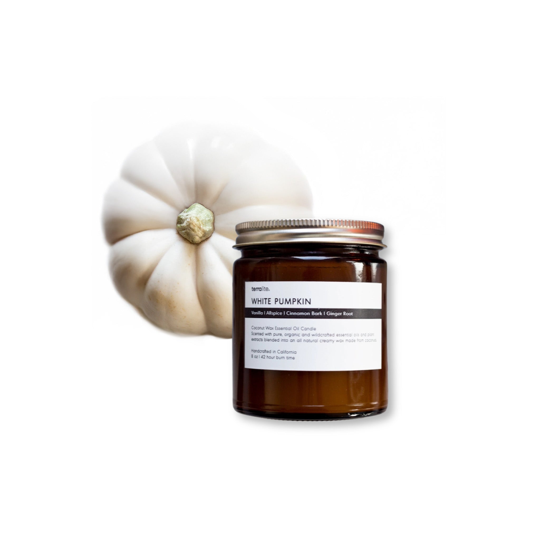 Terralite's jar of 'White Pumpkin' candle with a white pumpkin on a white background