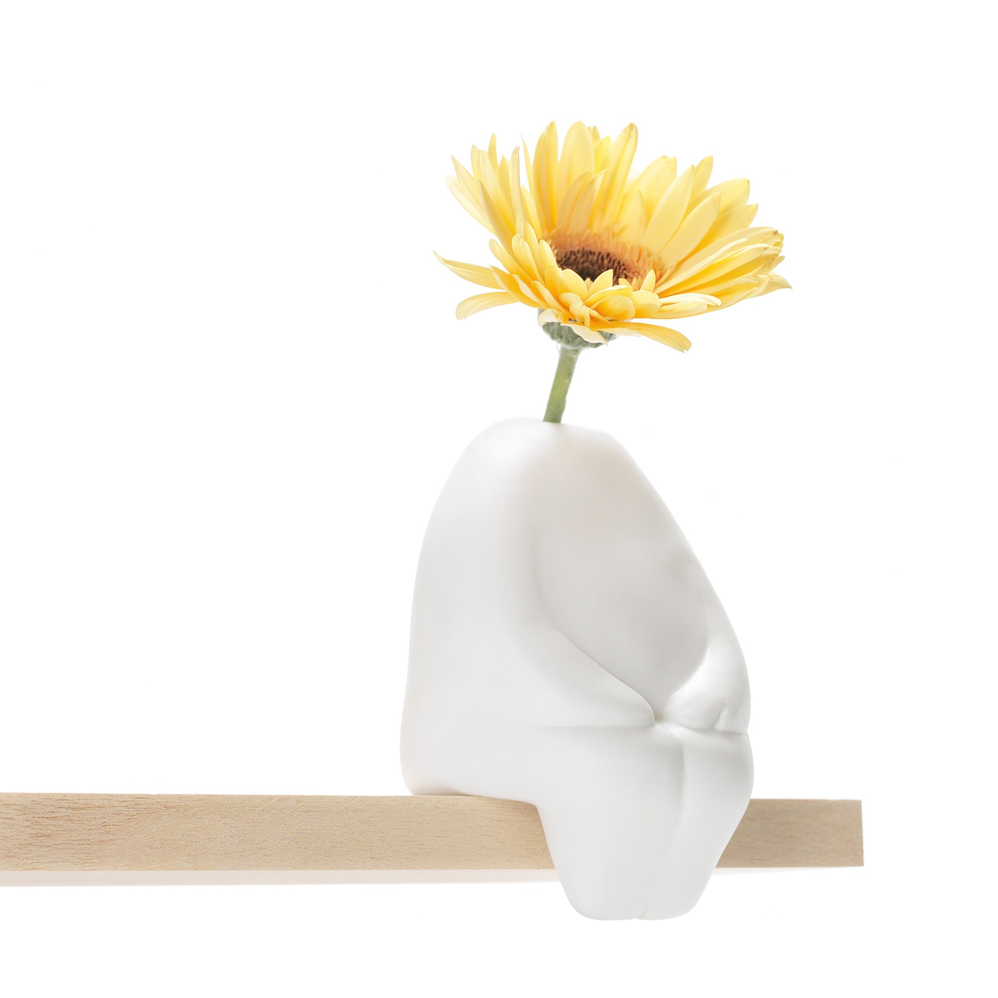 White vase with a yellow flower on a white background