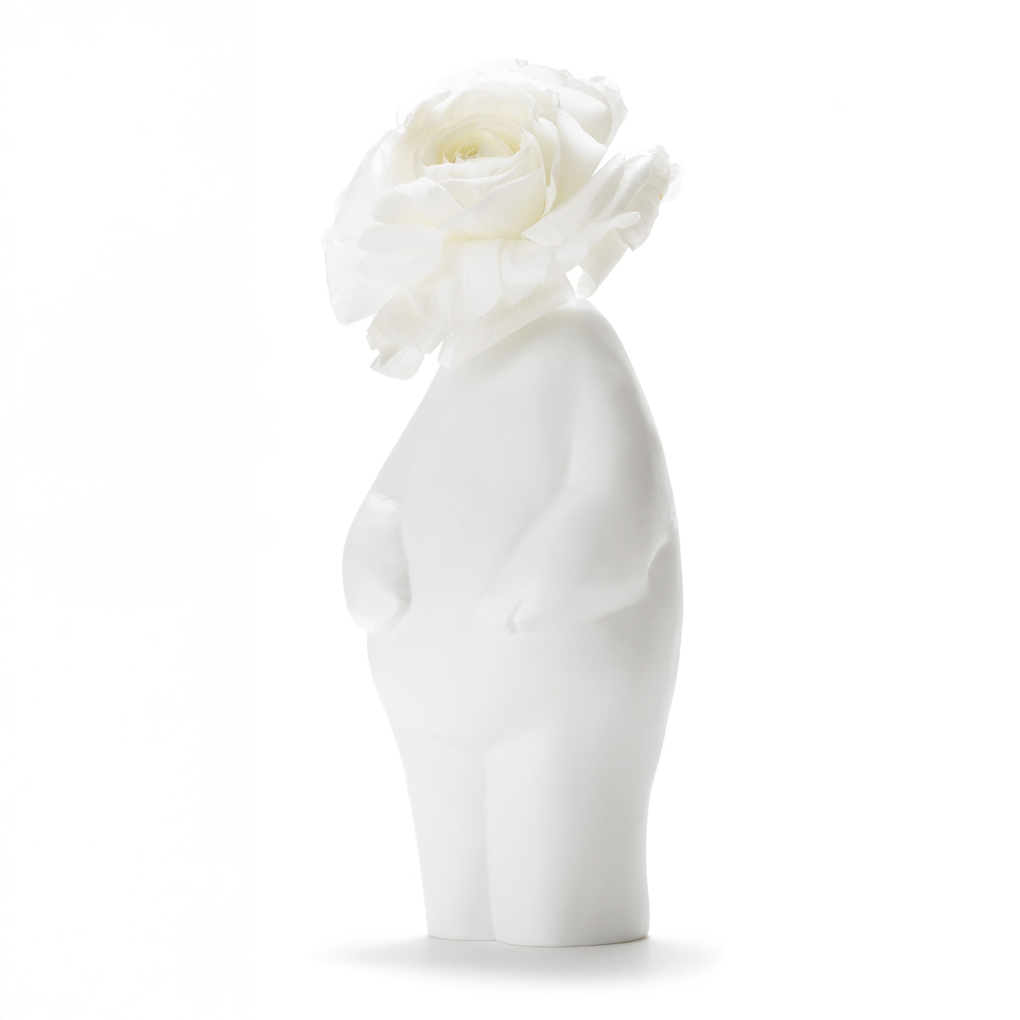 White ceramic vase with a white rose on a white background
