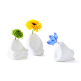 Three white vases with flowers on a white background