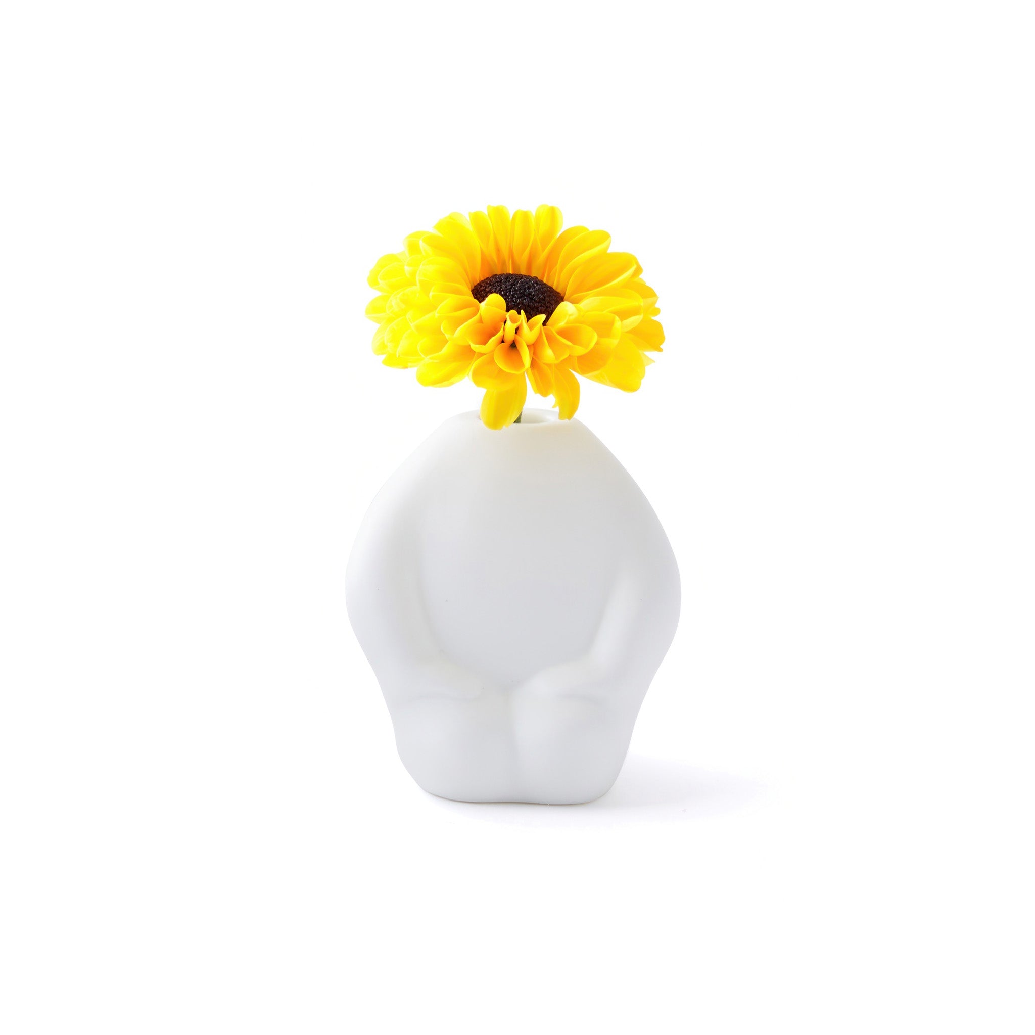 White vase with a yellow flower on a white background