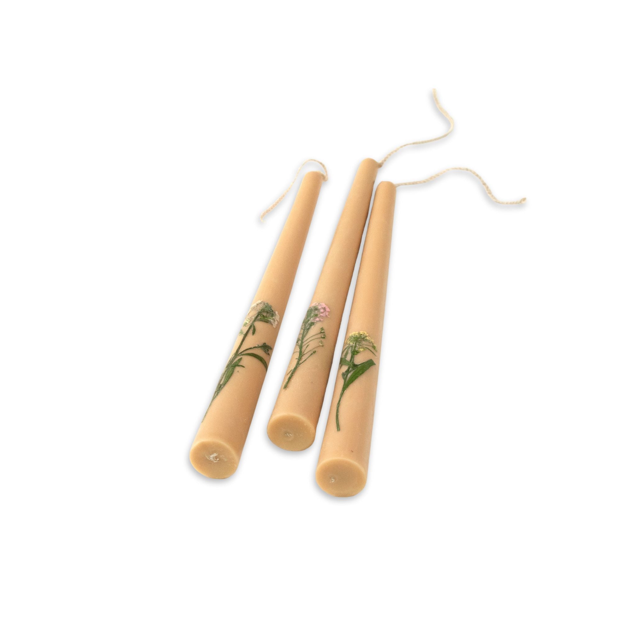 Top view of Galley + Fen's flora tapered candles 