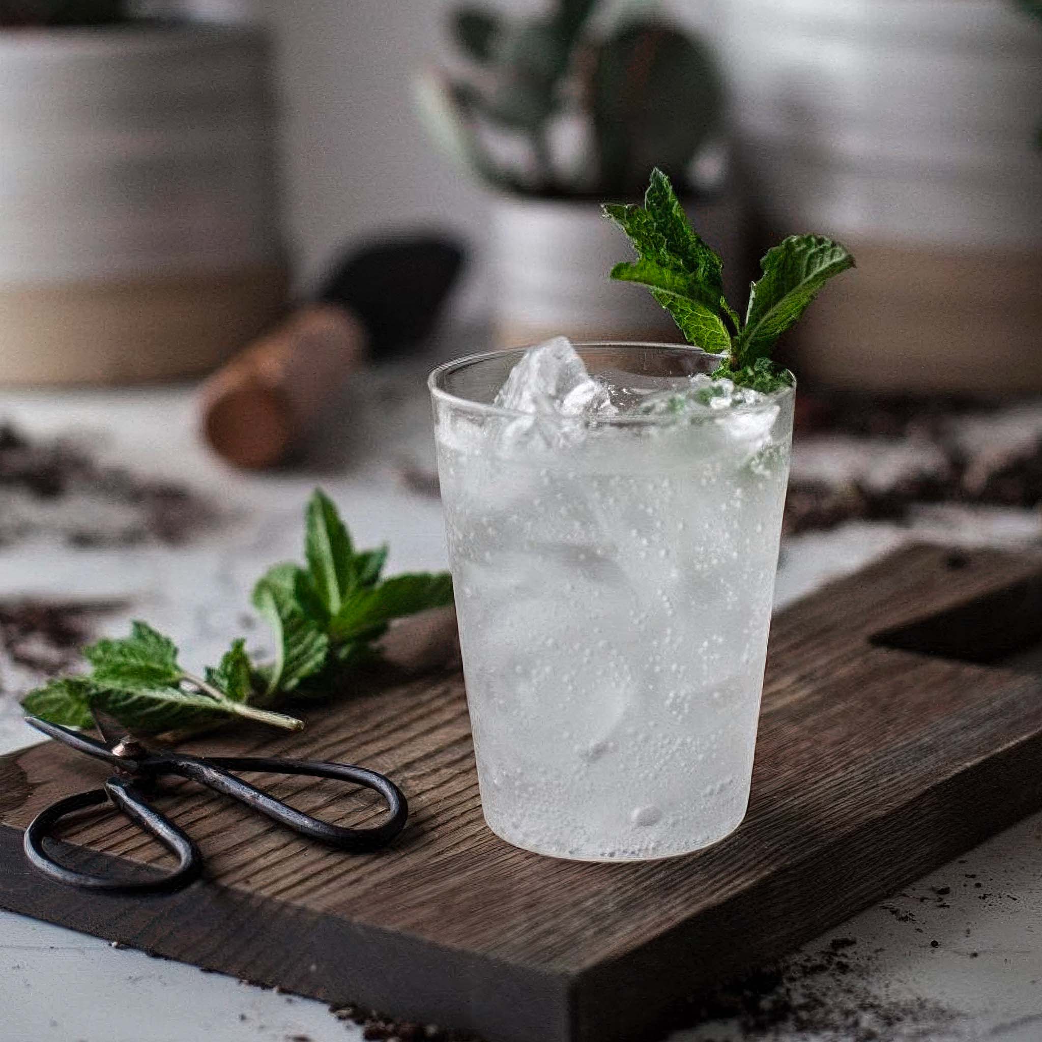 A cold fizzy drink with ice and mint leaves on a wooden cutting board with scissors and plants in the background.