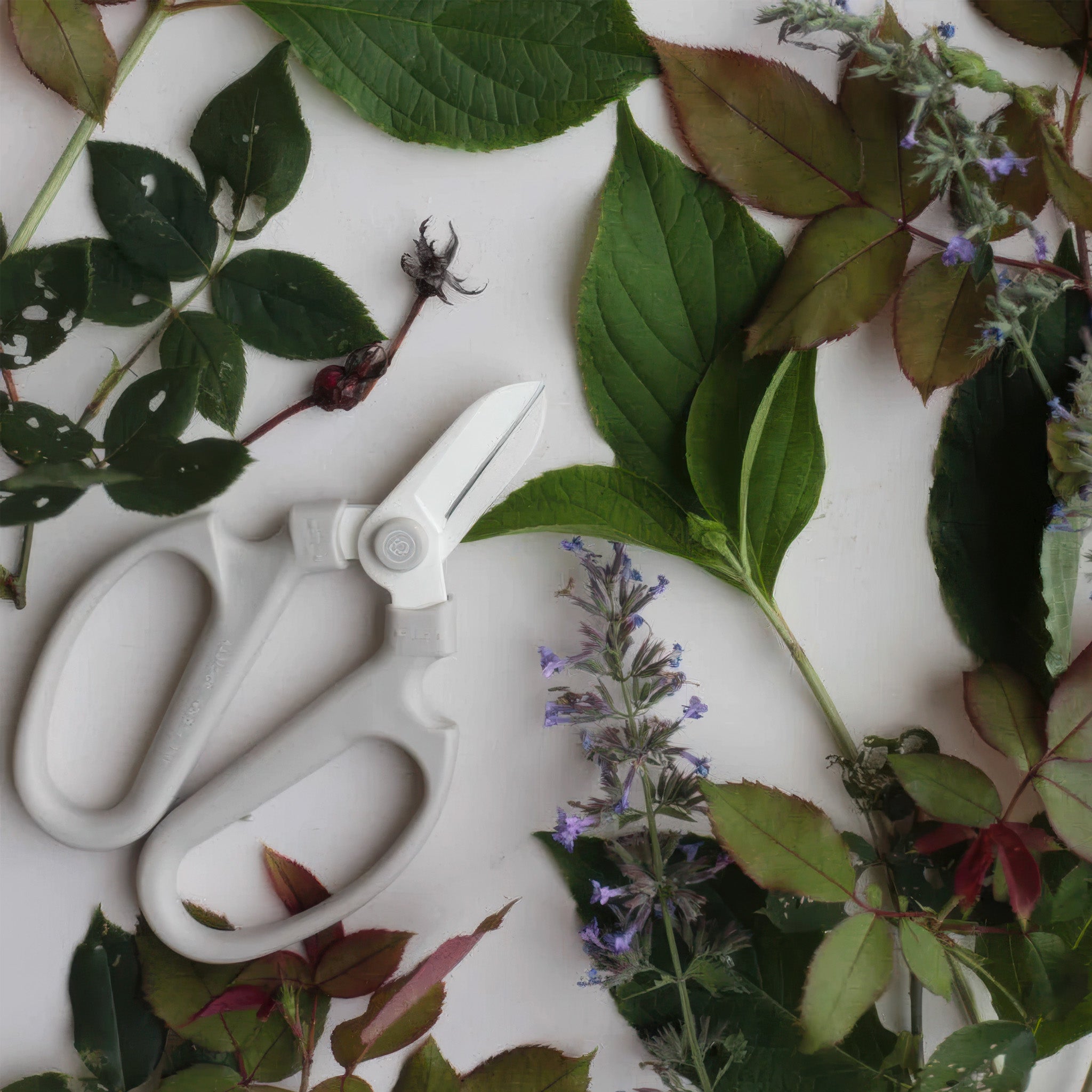 Grey floral clippers surrounded by green leaves and flowers on a white background