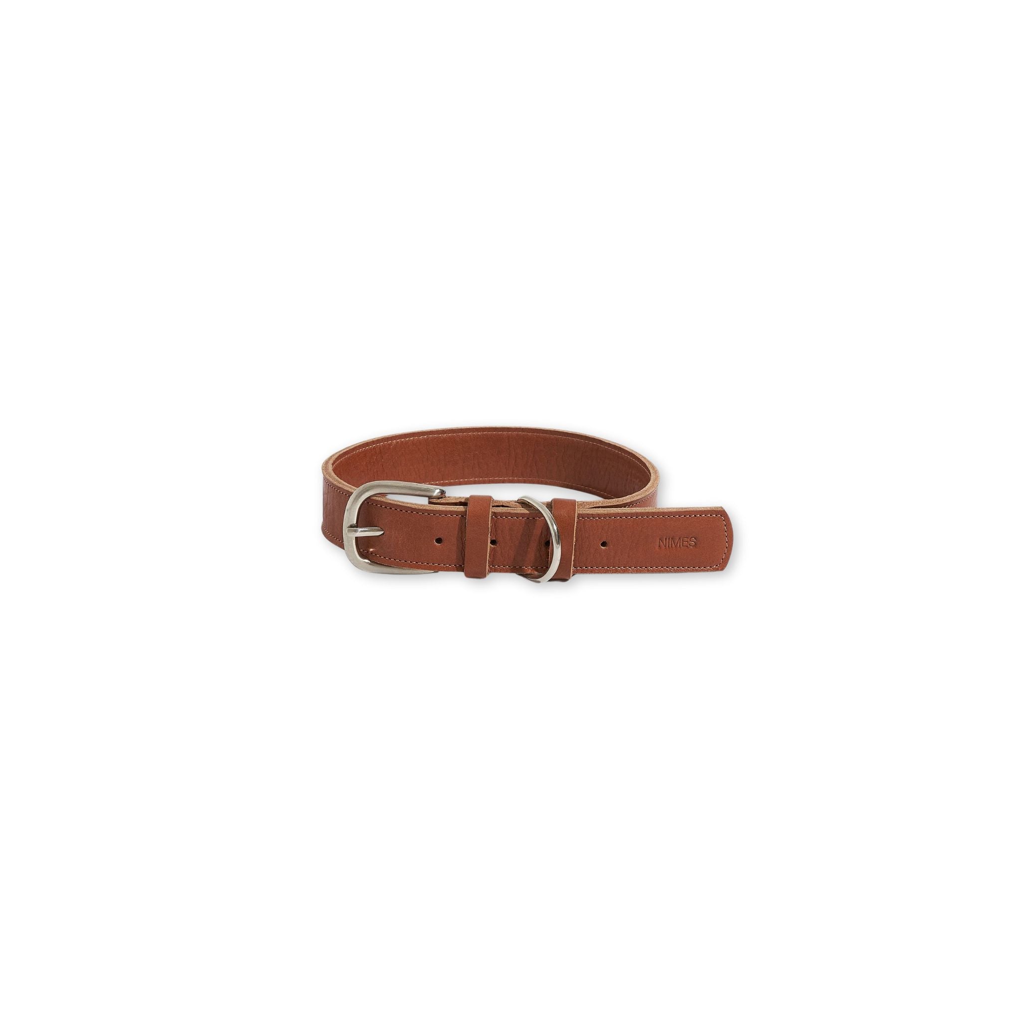 Brown leather dog collar with silver buckle on a white background