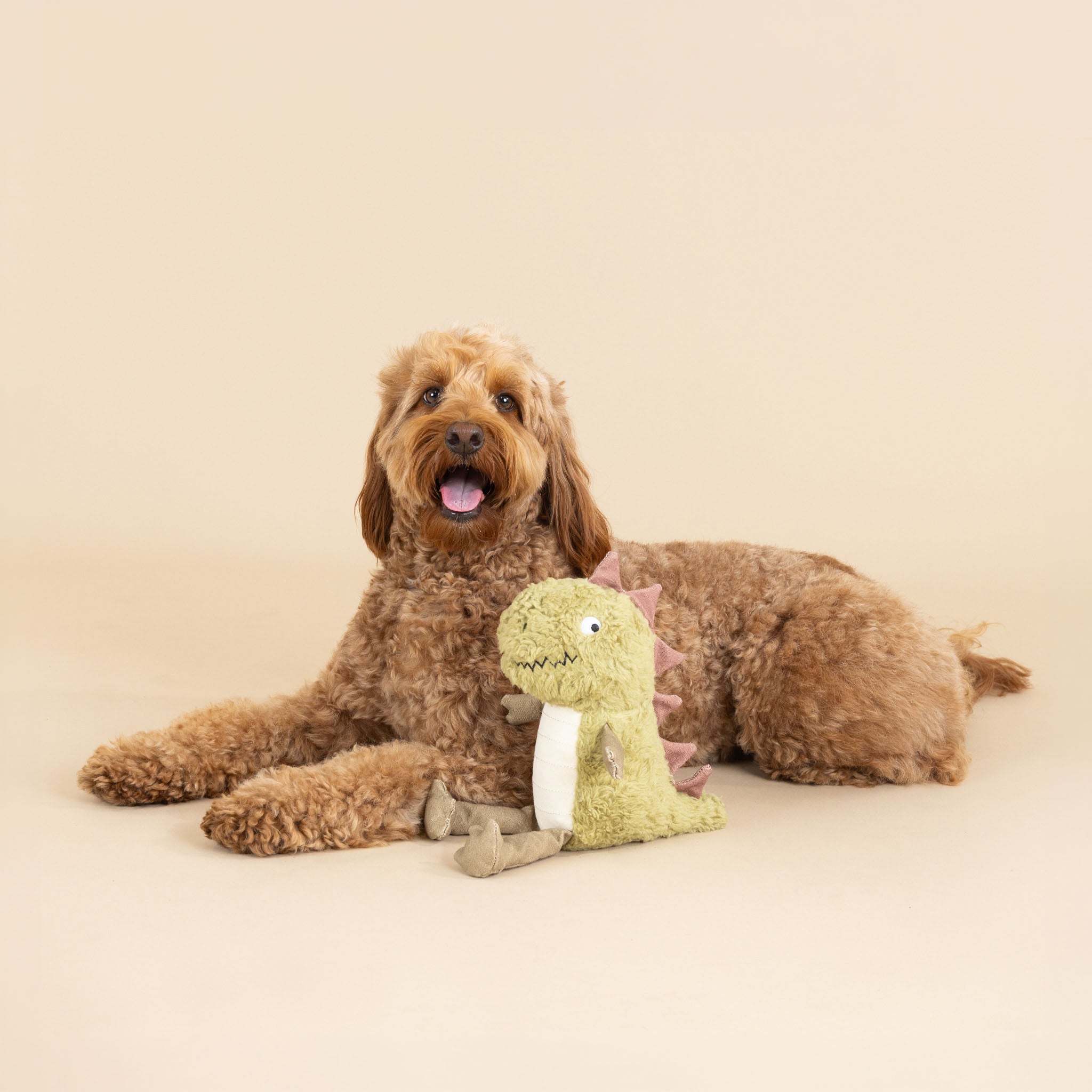 Dog playing with a dinosaur toy on a beige background