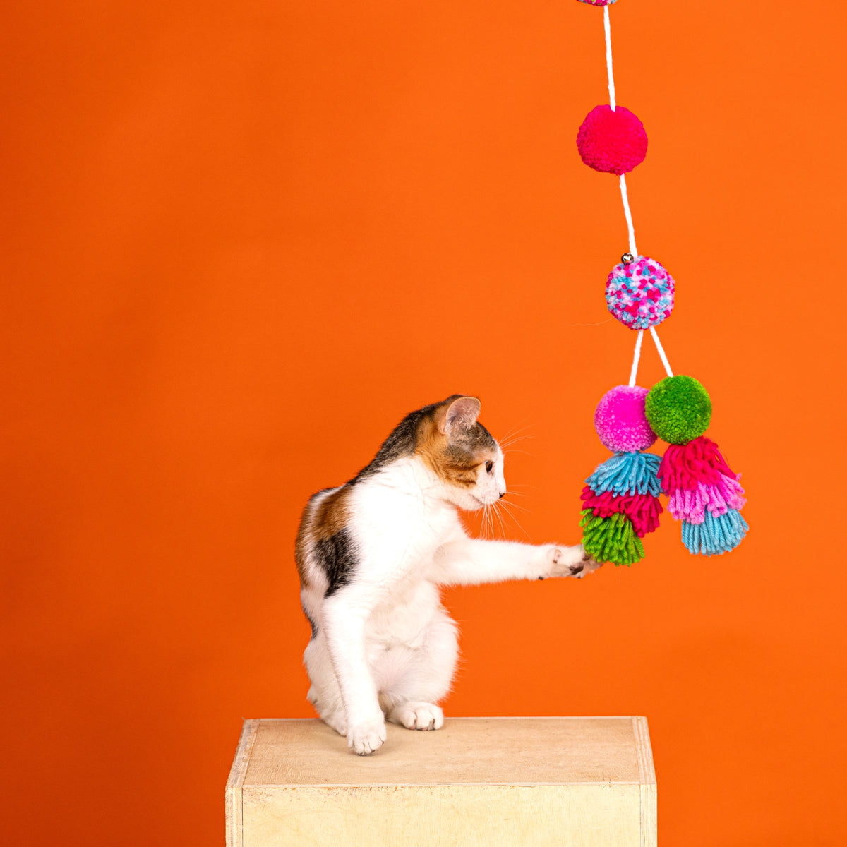 Shake Your Pom Pom Teaser Cat Toy