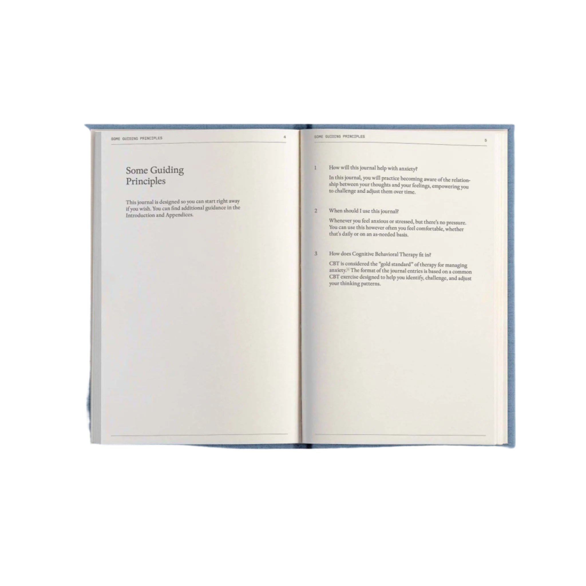 Open spread of The Anti-Anxiety Notebook by Therapy Notebooks, showing structured pages for writing session topics, notes, and key takeaways.