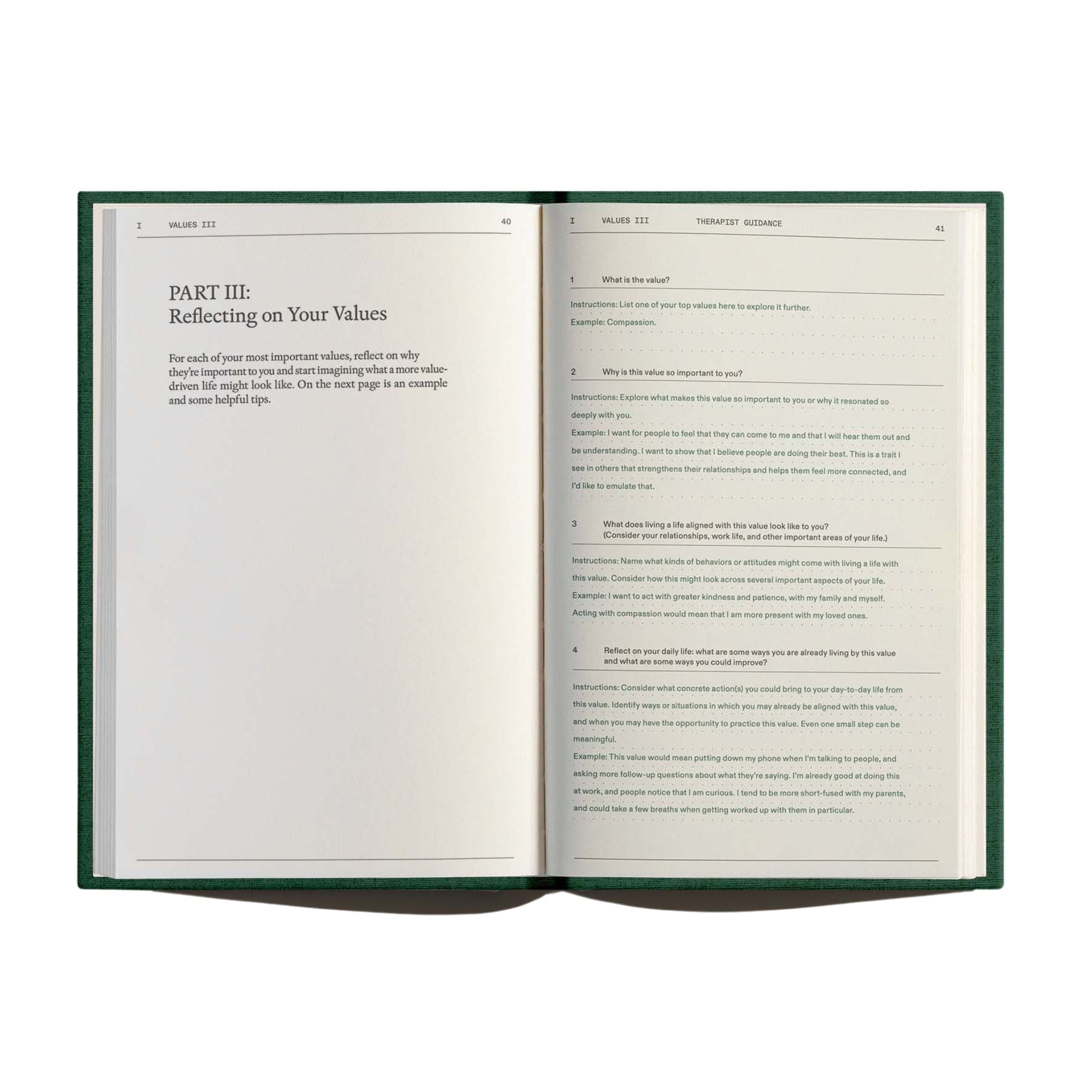 Open spread of The Field Guide for Depression by Therapy Notebooks, showing structured pages for writing session topics, notes, and key takeaways.