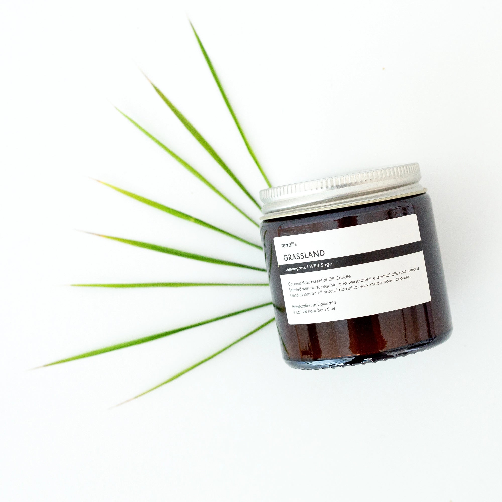 image of a jar of terralite scented candles grassland scent