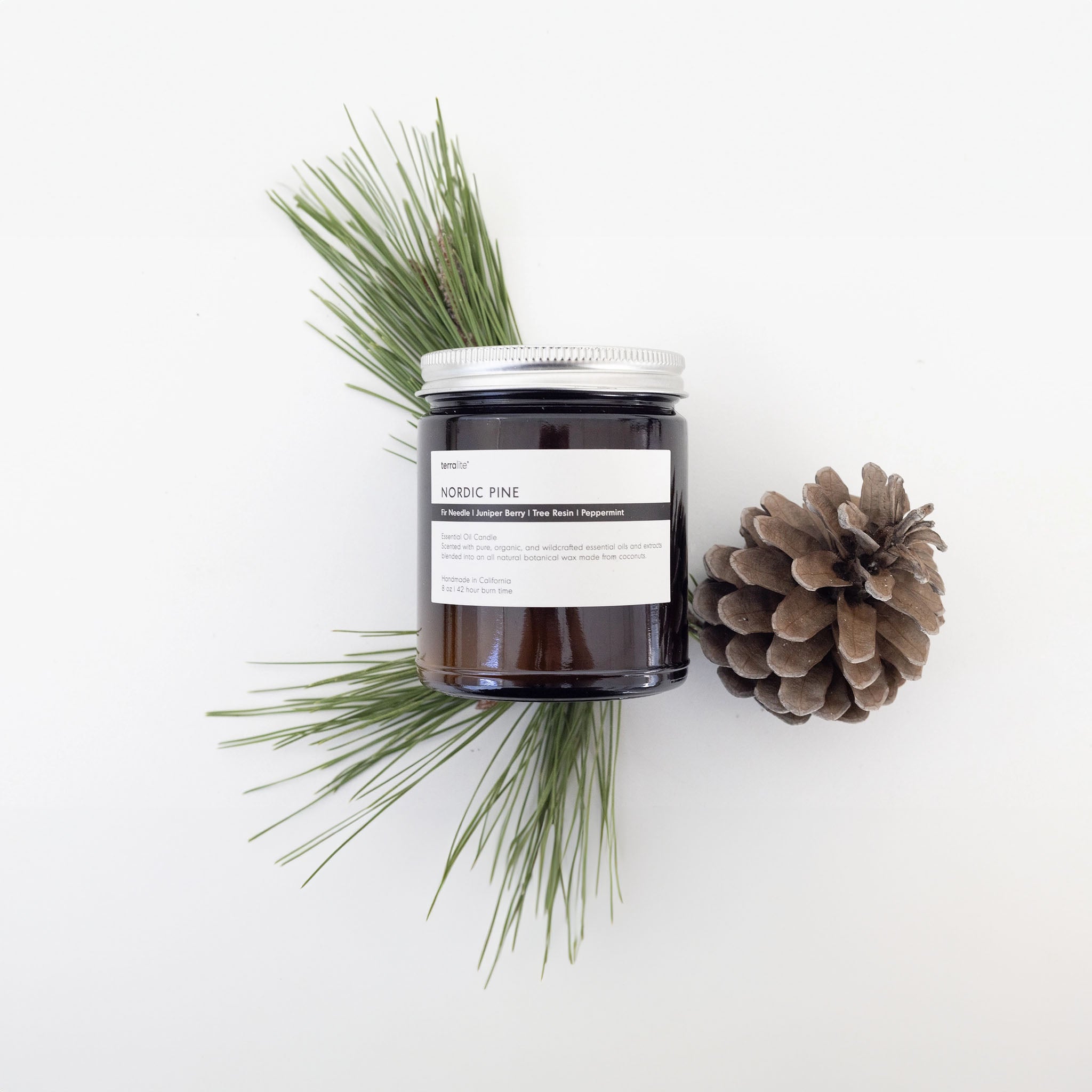 image of a jar of terralite scented candles nordic pine scent next to pine cones