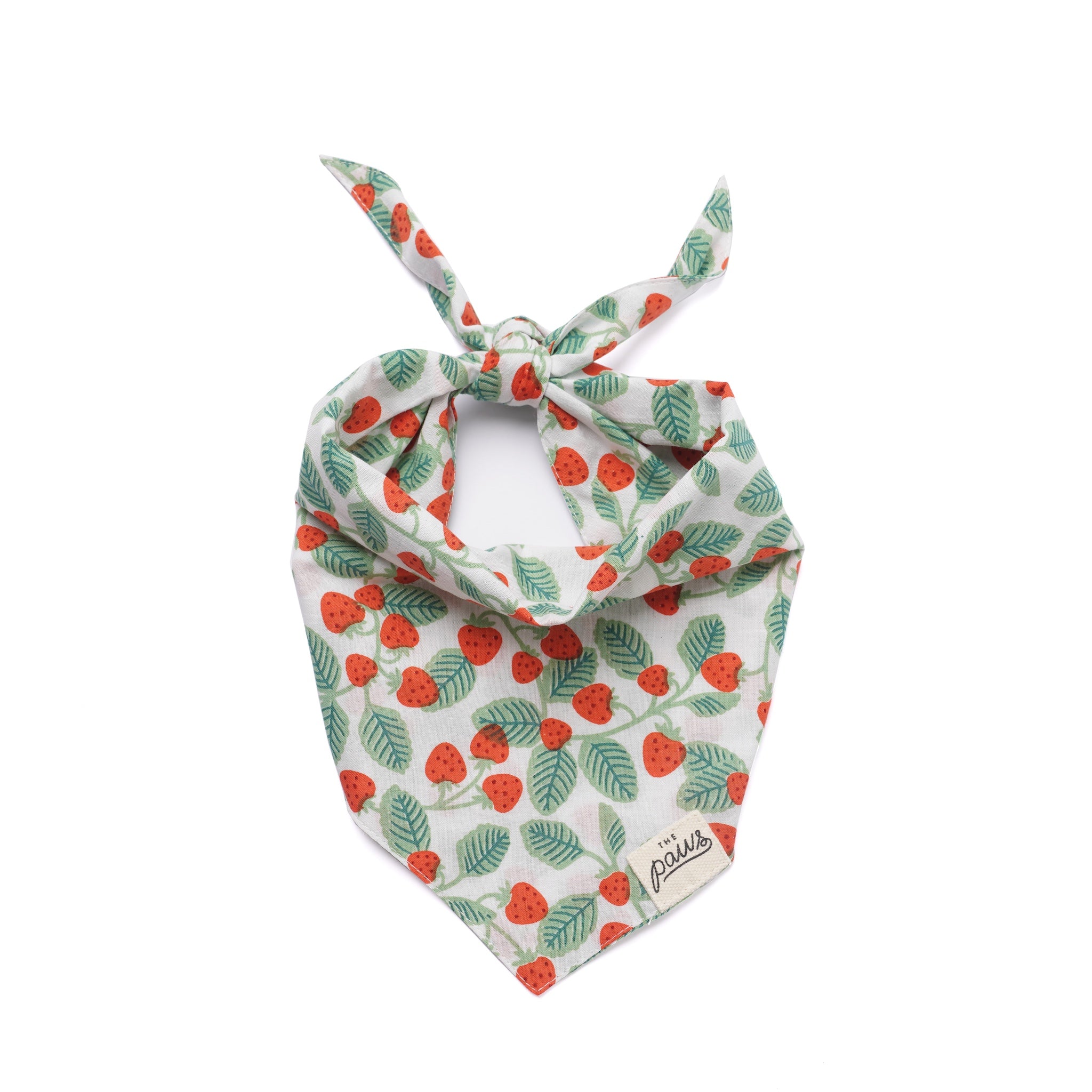 Image of The Paws Henley bandana on a white background