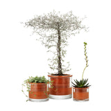 Collection of 3 various sizes for the Wet Pot System